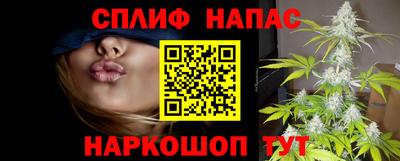 тгк Дубна